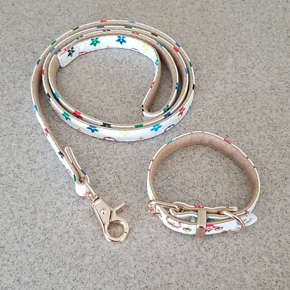 Collar & Leash Set